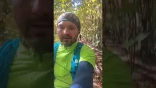 Postapo forest trail run