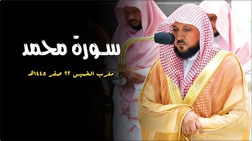 تلاوة إبداعية من الشيخ د. ماهر المعيقلي لما تيسّر من سـورة محمد | مغرب الخميس ٢٢-٢-١٤٤٥هـ