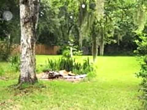 1567 Hammock Dr, Holly Hill, FL home video tour