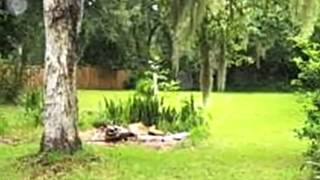 1567 Hammock Dr video tour