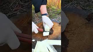 Knife slices sugarcane segments wood board holds steady