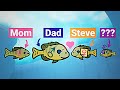 Bluegill Mating Strategies and Behavior