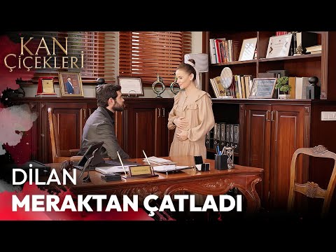 Dilan Sürprizi Öğrenebilecek