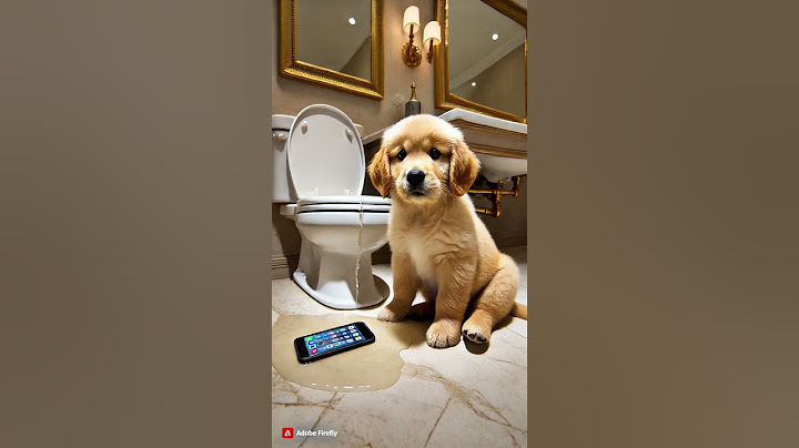 Oops! Dog Drops Phone in the Toilet! – Will It Turn On?"
