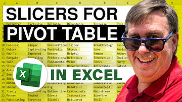 Excel - Add Slicers to Filter a Pivot Table - Episode 2009