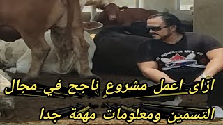 ازاى اعمل مشروع ناجح في مجال التسمين ومعلومات مهمة جدا