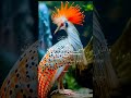 Quran Recitation and Quran Translation #quran_alkarim #trending #nature #beautyofnature #beauty