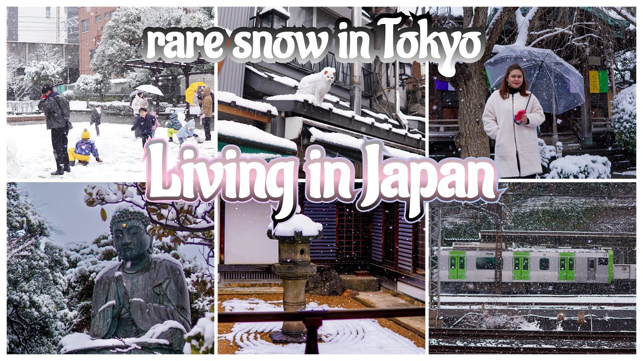 Tokyo Rare Snow Day Vlog ❄️ | Yanaka Ginza, Hidden Shrine, Ueno Park & Cozy Winter Moments