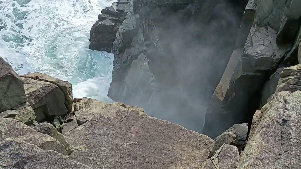 January in Quoddy Head Park, Maine