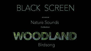 Forest Birds Chirping/Singing Nature Sounds Black Screen-Dark Screen-Johnnie Lawson Sleeping Sound