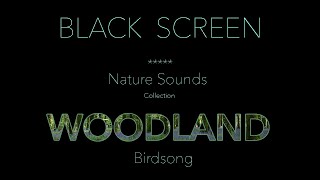 Forest Birds Chirpingsinging Nature Sounds Black Screen-Dark Screen-Johnnie Lawson Sleeping Sound