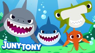 Shark Song | Shark Friends | Learn Sea Animals | Animal Song for Kids | Kindergarten Song | JunyTony