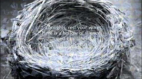 It's The Thought That Counts  David Benoit