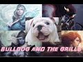 Bulldog and the grills