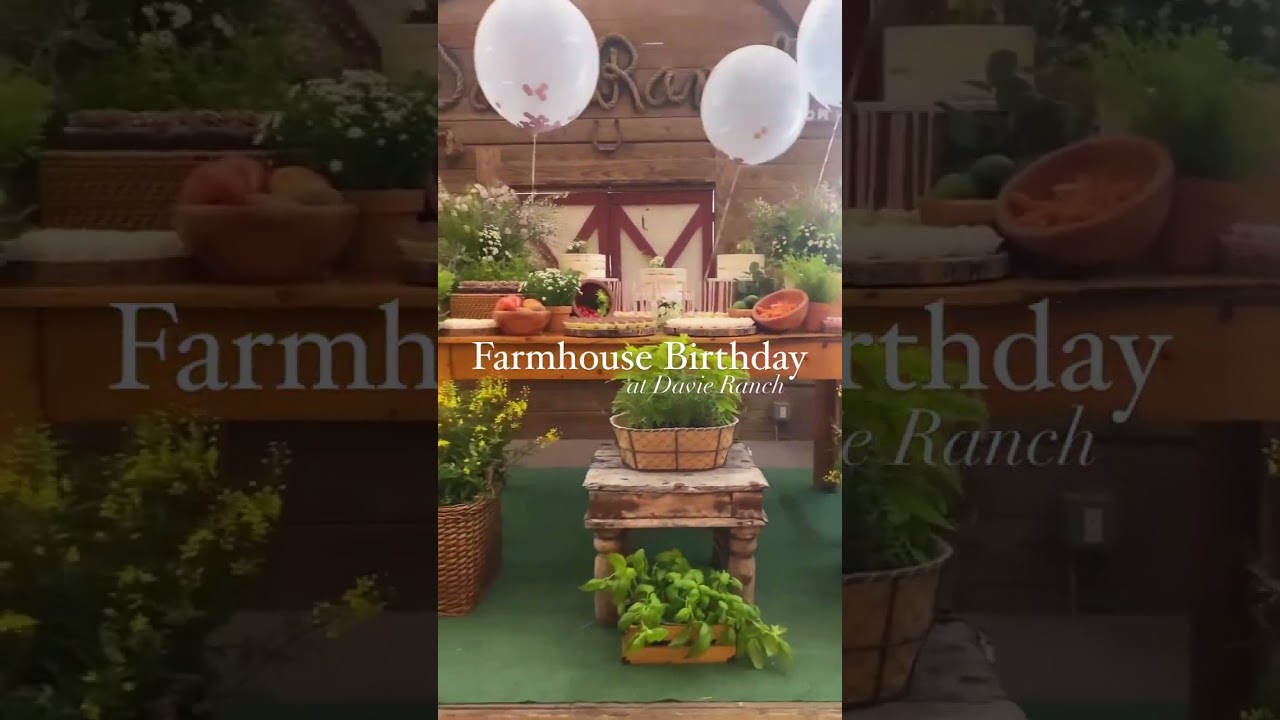 Farm House Themed Birthday Party