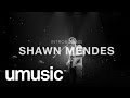 Introducing  shawn mendes