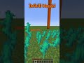 Aspettate per… Minecraft #shorts