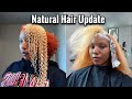 BLEACHING MY HAIR WAS A MISTAKE | Natural Hair Update