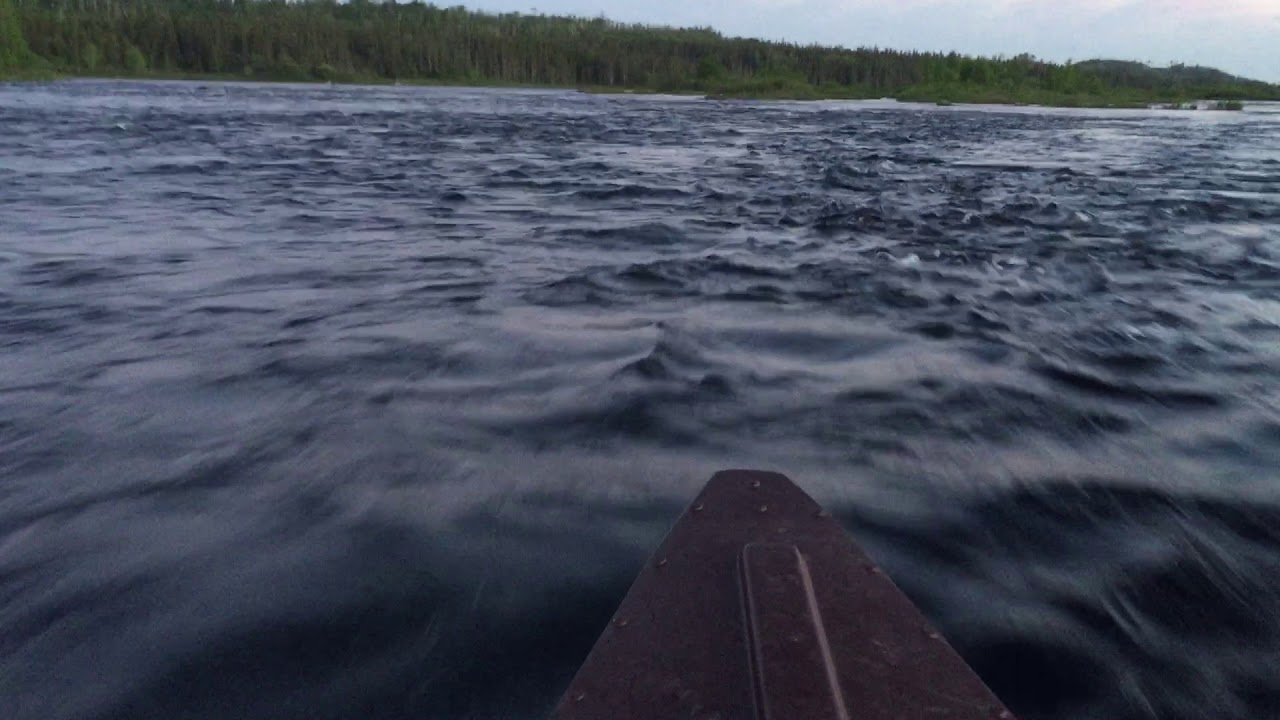 Gander River, Newfoundland 2018 YouTube