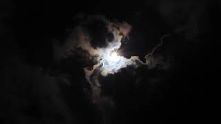 Celebrity Second Contact Carbondale Eclipse Wealth