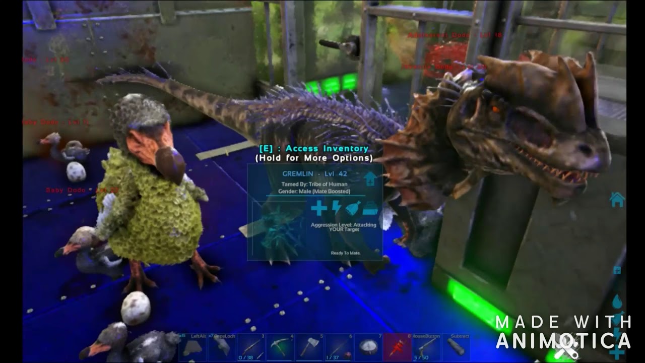 Ark Prime Meat from dodo's (Auto Farm) YouTube