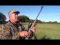 Siberian Roe Deer Hunting in Russia - Join us!
