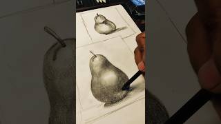 Drawing pears with Graphite and Charcoal #drawing #pencildrawing #charcoaldrawing #shorts