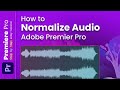 How to Normalize Audio in Premiere Pro 2024: Audio Mastery