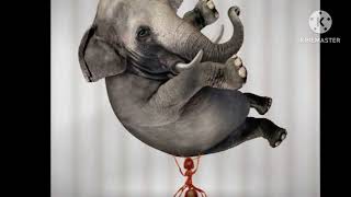 Mongma Aro Chibrim - A.chik Golporang Garo Folklore