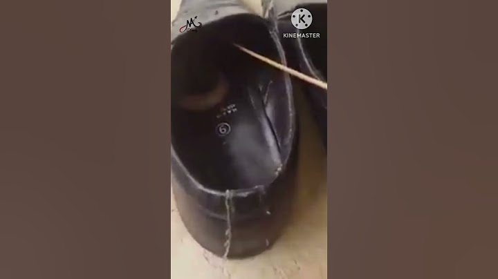 জুতো বা সু পায়ে দেবার আগে অবশ্যই একটিবারের জন্য চেক করে নেবে, #viral please. #subscribe #like 🙏🏻🙏🏻🙏🏻