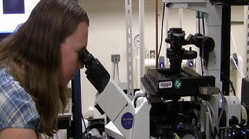 Advice for Future Scientists