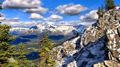 سورة المنافقون للشيخ هاني رفاعي