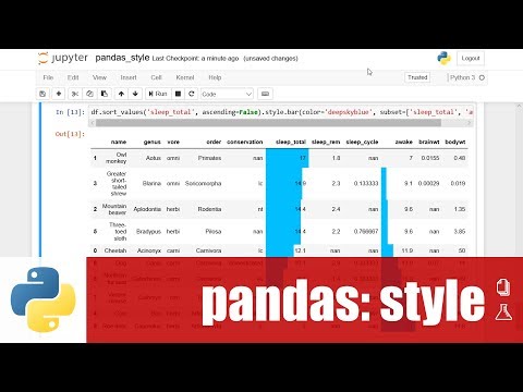 สอน Python สำหรับ Data science: การปรับแต่ง style ในการแสดงข้อมูล DataFrame เบื้องต้น