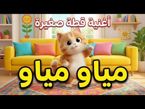 أغنية القطة مياو مياو قطة صغيرة جميلة أغنية أطفال مليئة باللعب والضحك اغاني اطفال 