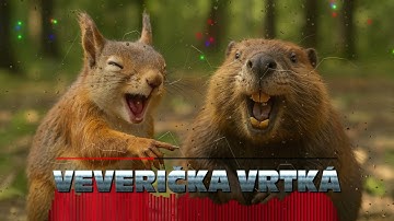 Veverička vrtká | Dance / Folk | NoCopyright Music | AI NCM Zone