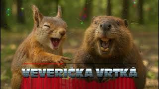 Veverička vrtká | Dance / Folk | NoCopyright Music | AI NCM Zone