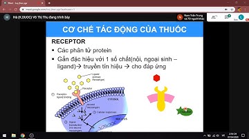 DƯỢC LÍ: CƠ CHẾ TÁC ĐỘNG CỦA THUỐC (dược lí đại cương)