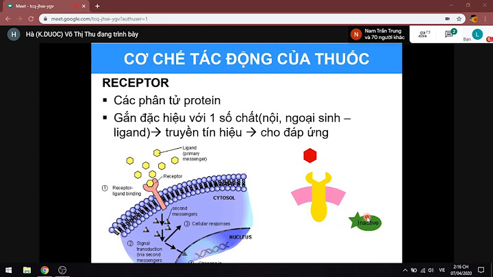 Coơ chế tác dụng tiếng anh là gì năm 2024