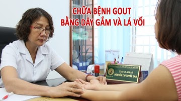 Dùng dây gắm và lá vối chữa gút cập nhập mới nhất 2023