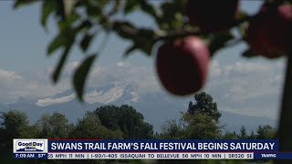 Today is the first day of fall! Time to look forward to festivities in WA | FOX 13 Seattle