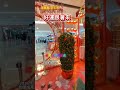 678. 好運跟著來(龍飄飄) #新年歌 #安格尔怀念歌曲 (@anchorhoong)