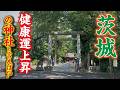 体調を崩した今だからこそ紹介したい…病気平癒の神社3選