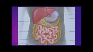 Upset Stomach Remedies From Nature: Plant Polymannans