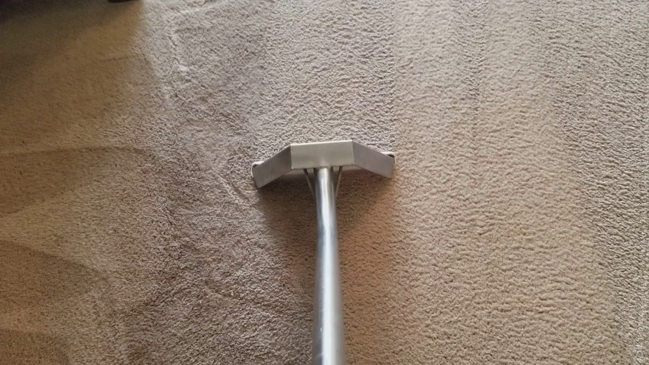 TruSteam Carpet Cleaning Richmond Hill, GA. YouTube