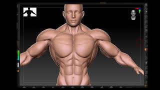 ZBrush Sculpt Morph Corrections