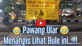 Aksi Bule makan Empedu dan Sate Cobra | Sate Cobra Indonesia | Kuliner Indonesia