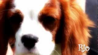 Rio & Macy