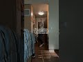used an ai detector humanizer before submitting and it worked