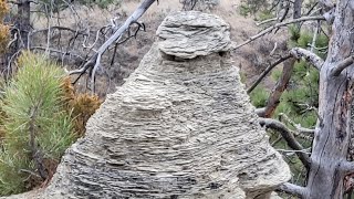 Information Hiking a Coulee in Acton Recreation Area  News
