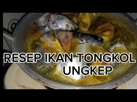 Cara Buat Bumbu Ikan Tongkol Goreng